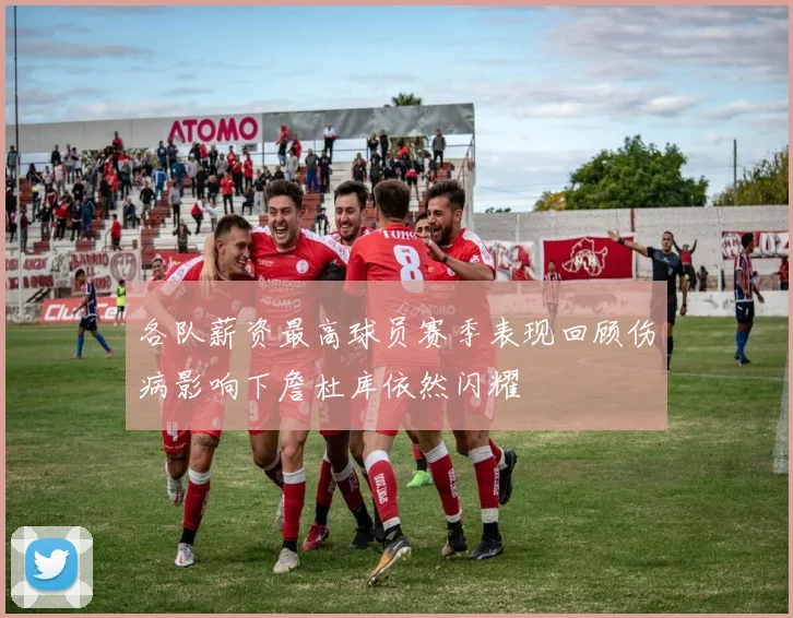 各队薪资最高球员赛季表现回顾伤病影响下詹杜库依然闪耀