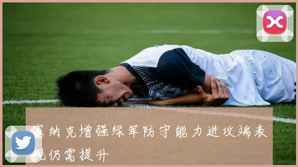 塞纳克增强绿军防守能力进攻端表现仍需提升